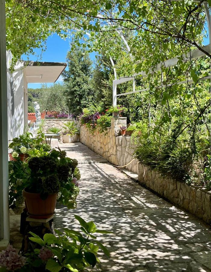 Apartamento Gorana Apartman With Swimming Pool Jelsa  Exterior foto