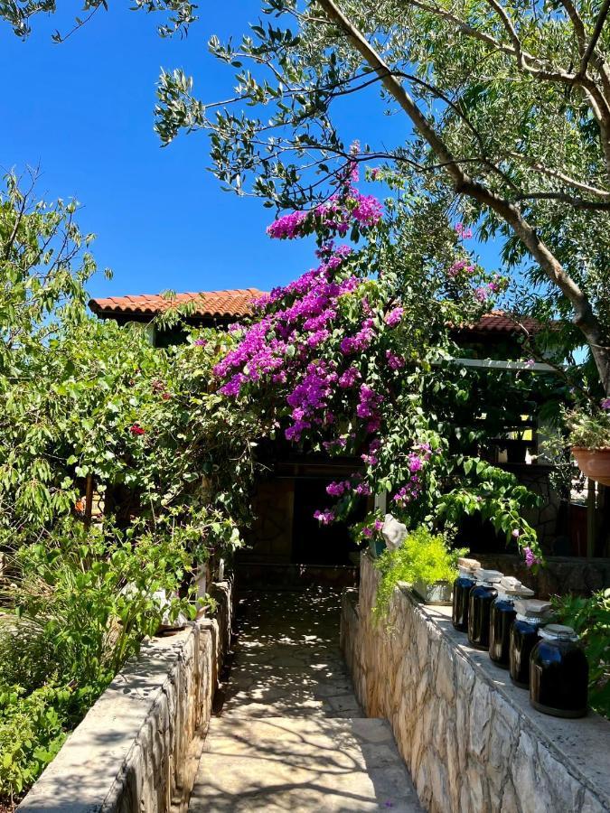 Apartamento Gorana Apartman With Swimming Pool Jelsa  Exterior foto
