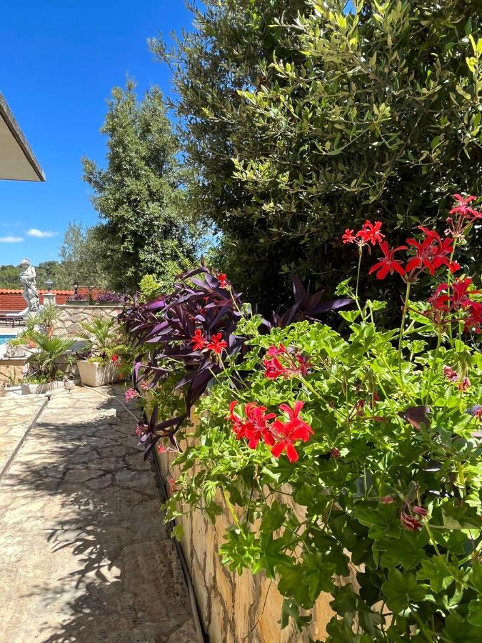 Apartamento Gorana Apartman With Swimming Pool Jelsa  Exterior foto